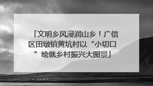 文明乡风浸润山乡！广信区田墩镇黄坑村以“小切口”绘就乡村振兴大图景