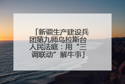 新疆生产建设兵团第九师乌拉斯台人民法庭：用“三调联动”解牛事