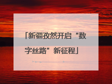 新疆孜然开启“数字丝路”新征程