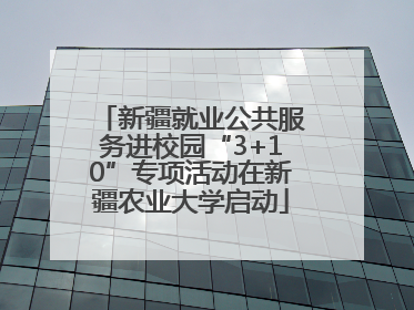 新疆就业公共服务进校园“3+10”专项活动在新疆农业大学启动