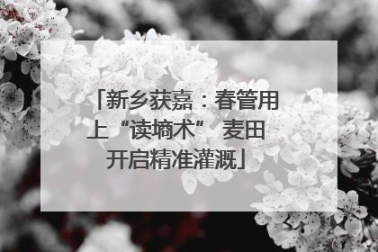 新乡获嘉：春管用上“读墒术” 麦田开启精准灌溉