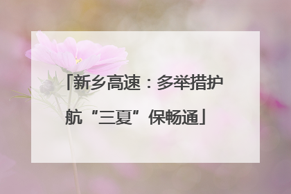 新乡高速：多举措护航“三夏”保畅通