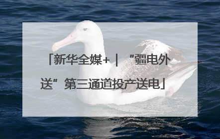 新华全媒+｜“疆电外送”第三通道投产送电