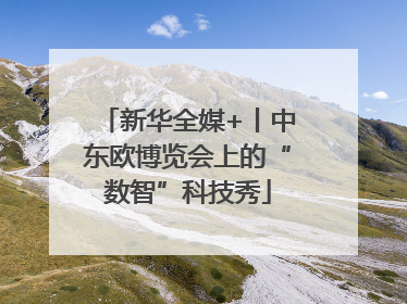 新华全媒+丨中东欧博览会上的“数智”科技秀
