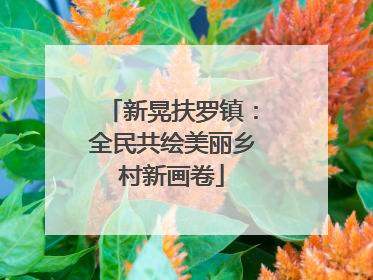 新晃扶罗镇：全民共绘美丽乡村新画卷