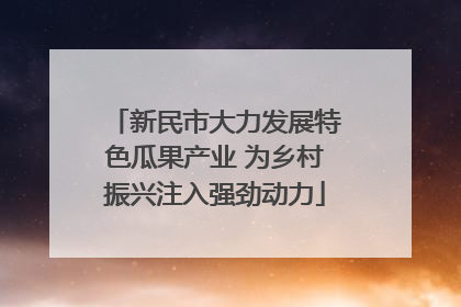 新民市大力发展特色瓜果产业 为乡村振兴注入强劲动力