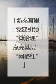 新泰宫里：党建引领“微治理” 点亮基层“网格红”
