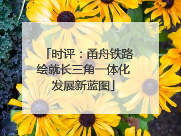 时评：甬舟铁路绘就长三角一体化发展新蓝图