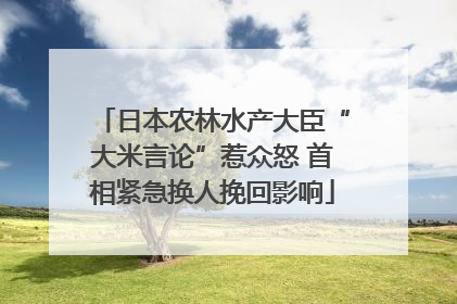 日本农林水产大臣“大米言论”惹众怒 首相紧急换人挽回影响