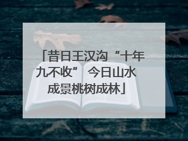昔日王汉沟“十年九不收” 今日山水成景桃树成林