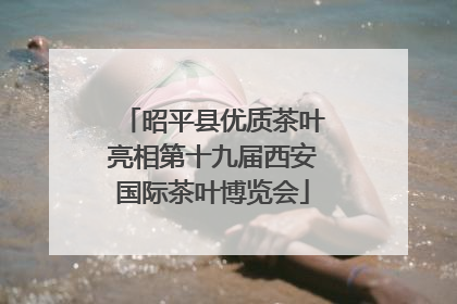 昭平县优质茶叶亮相第十九届西安国际茶叶博览会