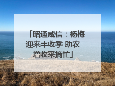 昭通威信：杨梅迎来丰收季 助农增收采摘忙