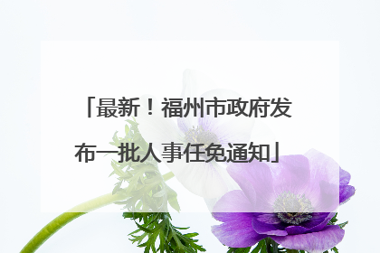 最新！福州市政府发布一批人事任免通知