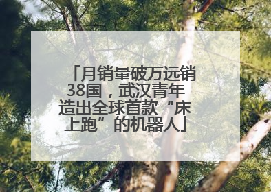 月销量破万远销38国，武汉青年造出全球首款“床上跑”的机器人