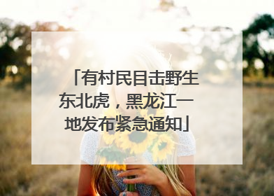 有村民目击野生东北虎，黑龙江一地发布紧急通知