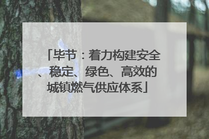 毕节：着力构建安全、稳定、绿色、高效的城镇燃气供应体系