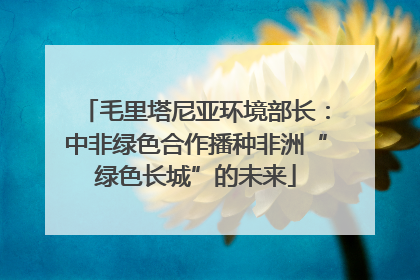 毛里塔尼亚环境部长：中非绿色合作播种非洲“绿色长城”的未来