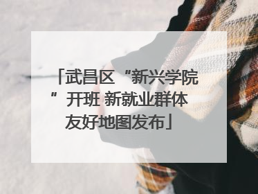 武昌区“新兴学院”开班 新就业群体友好地图发布