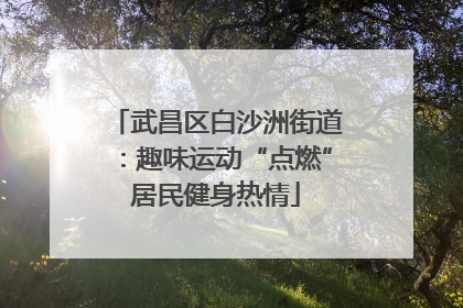 武昌区白沙洲街道：趣味运动“点燃”居民健身热情