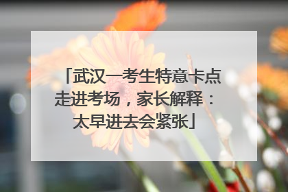 武汉一考生特意卡点走进考场，家长解释：太早进去会紧张