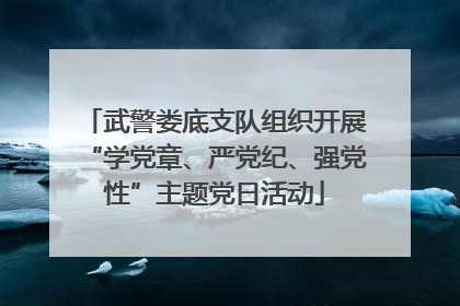 武警娄底支队组织开展“学党章、严党纪、强党性”主题党日活动