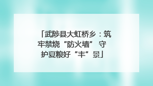 武陟县大虹桥乡：筑牢禁烧“防火墙” 守护夏粮好“丰”景
