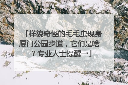 样貌奇怪的毛毛虫现身厦门公园步道，它们是啥？专业人士提醒→