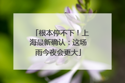 根本停不下！上海最新确认：这场雨今夜会更大