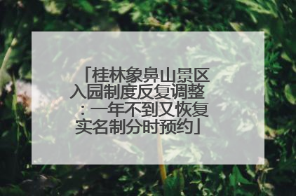 桂林象鼻山景区入园制度反复调整：一年不到又恢复实名制分时预约