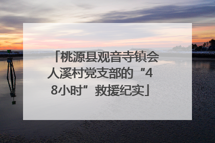 桃源县观音寺镇会人溪村党支部的“48小时”救援纪实