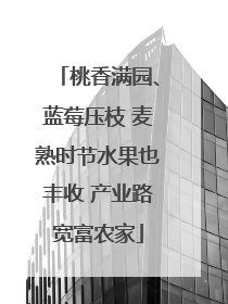 桃香满园、蓝莓压枝 麦熟时节水果也丰收 产业路宽富农家