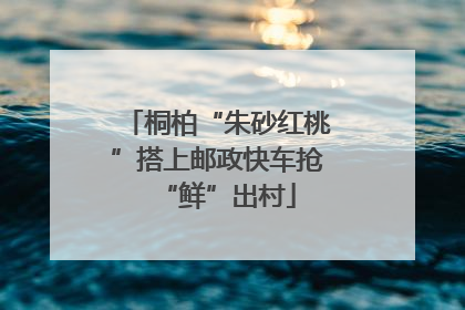 桐柏“朱砂红桃”搭上邮政快车抢“鲜”出村
