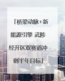 桥梁动脉+新能源引擎 武陟经开区双赛道冲刺半年目标