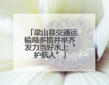 梁山县交通运输局多措并举齐发力当好水上“护航人”