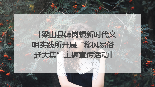 梁山县韩岗镇新时代文明实践所开展“移风易俗赶大集”主题宣传活动