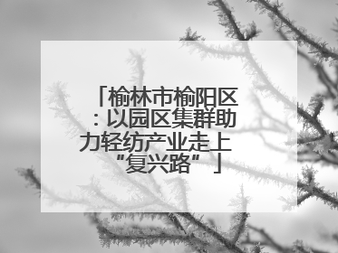 榆林市榆阳区：以园区集群助力轻纺产业走上“复兴路”