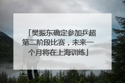 樊振东确定参加乒超第二阶段比赛，未来一个月将在上海训练