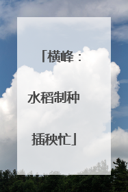 横峰：水稻制种插秧忙