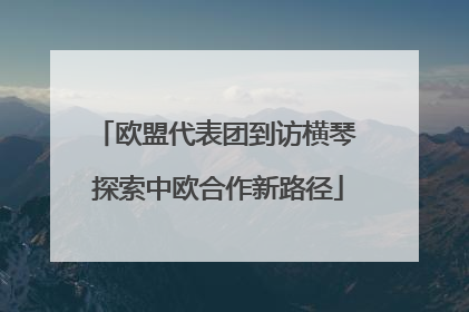 欧盟代表团到访横琴 探索中欧合作新路径