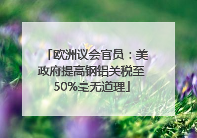 欧洲议会官员：美政府提高钢铝关税至50%毫无道理