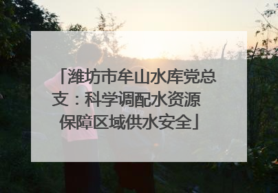 潍坊市牟山水库党总支：科学调配水资源 保障区域供水安全