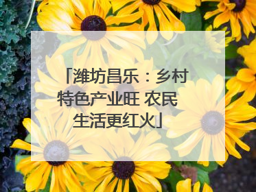 潍坊昌乐：乡村特色产业旺 农民生活更红火
