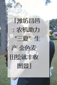潍坊昌邑：农机助力“三夏”生产 金色麦田绘就丰收图景