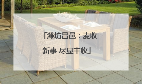 潍坊昌邑：麦收新事 尽显丰收