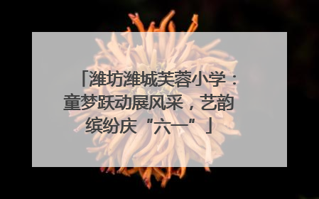 潍坊潍城芙蓉小学：童梦跃动展风采，艺韵缤纷庆“六一”