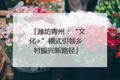 潍坊青州：“文化+”模式引领乡村振兴新路径
