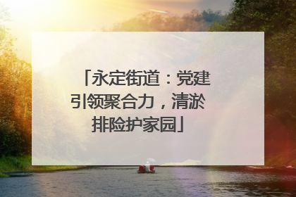 永定街道：党建引领聚合力，清淤排险护家园