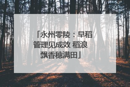 永州零陵：早稻管理见成效 稻浪飘香穗满田
