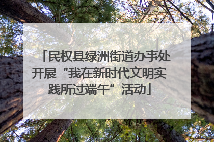 民权县绿洲街道办事处开展“我在新时代文明实践所过端午”活动