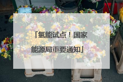 氢能试点！国家能源局重要通知